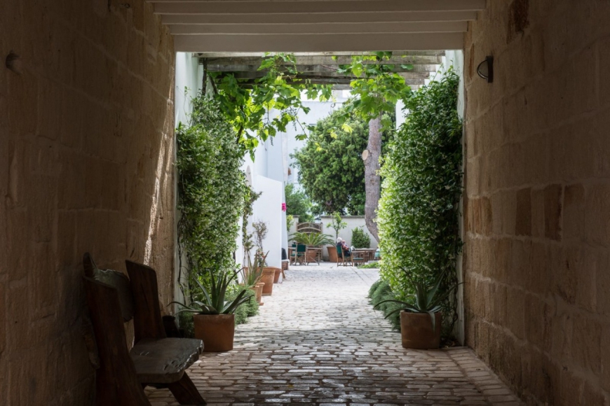 Flor de Rosassa · Coliving AdD LiVitum